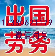 福达最新招聘启事